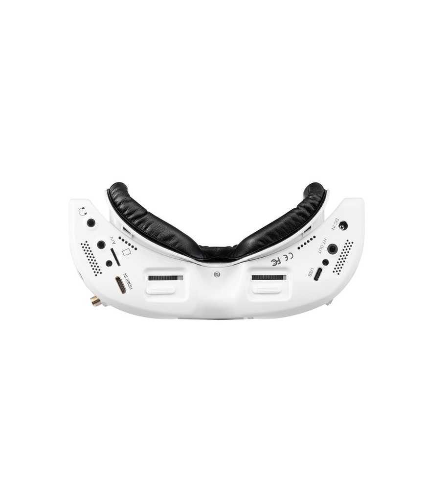 Видеоочки DJI FPV Goggles V2 купить в Минске, цены - lockmaster23.ru