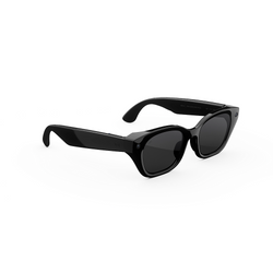 Умные очки Meta Capri Standard Classic Black Frame / Clear to Grey Transitions Lenses
