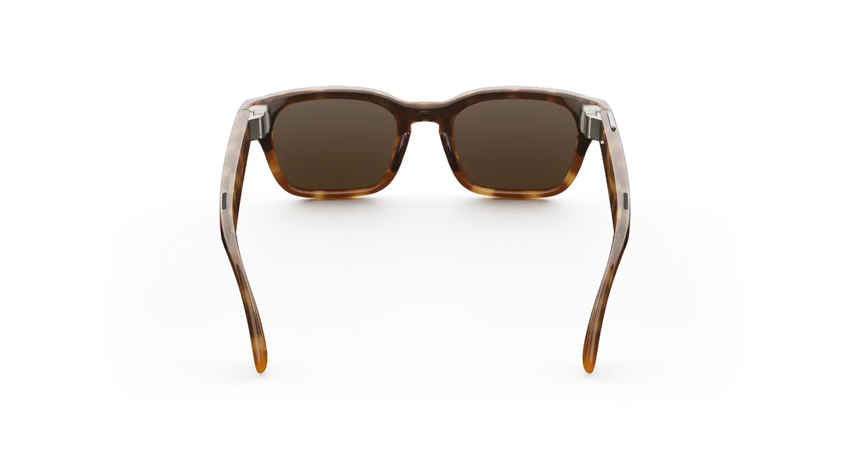 Розумні окуляри Meta Adventurer Large Classic Tortoise Frame / Brown Lenses