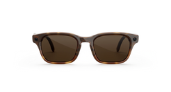 Розумні окуляри Meta Adventurer Large Classic Tortoise Frame / Brown Lenses