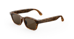 Розумні окуляри Meta Adventurer Standard Classic Tortoise Frame / Brown Lenses