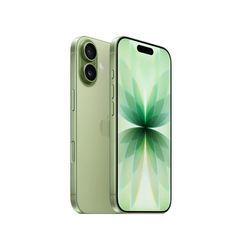 Смартфон Apple iPhone 17 512GB Sage (MG6V4)